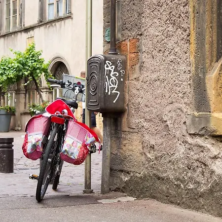 My Sweet Homes - Avec Colmar